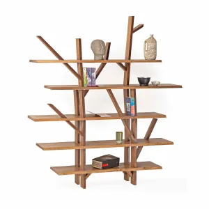 Bibliothque dstructure | SABA
