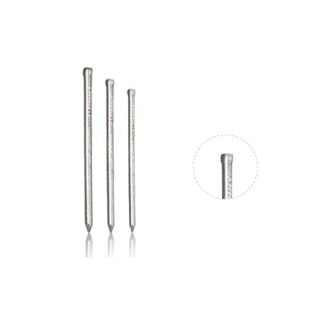 BIL Nails Jolt Head Galv 100mm x 1kg **