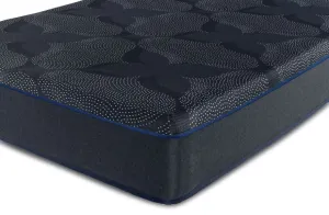 Sealy Posturepedic® Luxury Hybrid Aneira Plush Twin XL Mattress