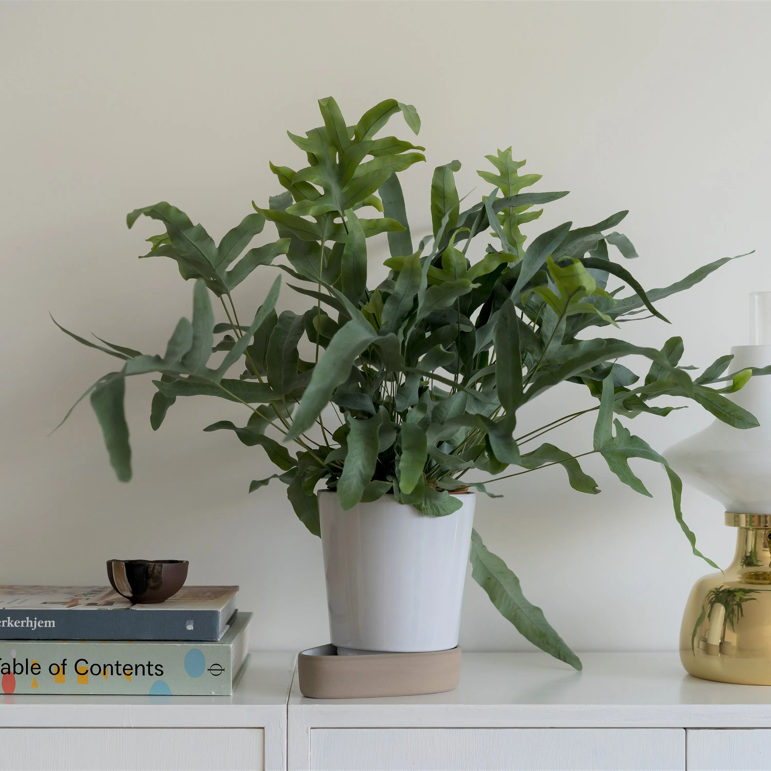 Sip Plant Pot