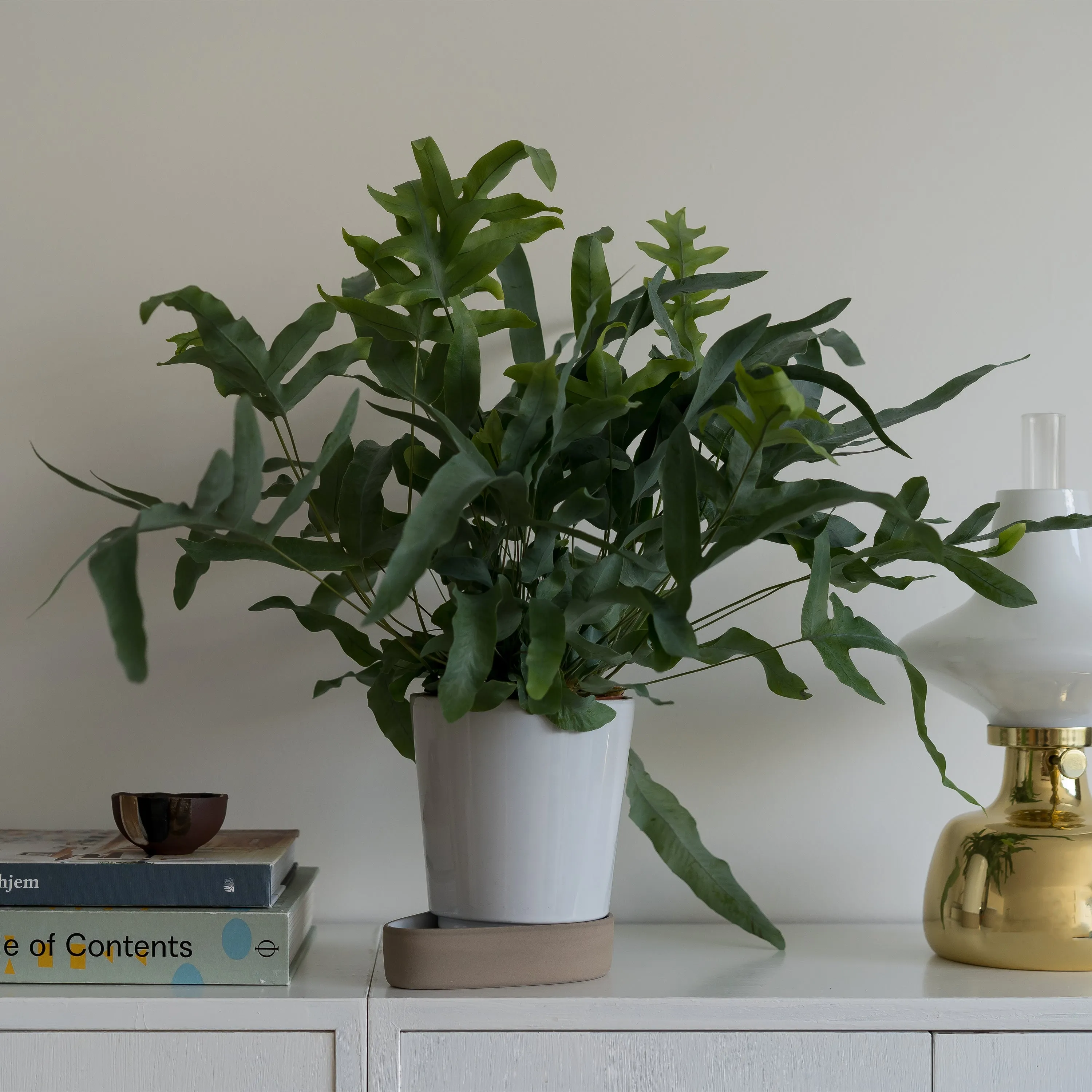 Sip Plant Pot