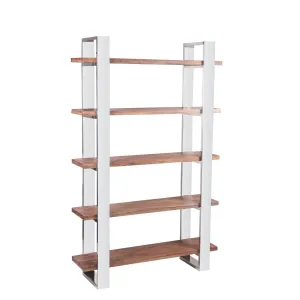 STAINLESS BIBLIOTHEQUE 120X35 LOT/5   PIEDS