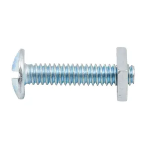 Zenith Bolt & Nut Mush ZP 1/4" x 30mm (10pk)