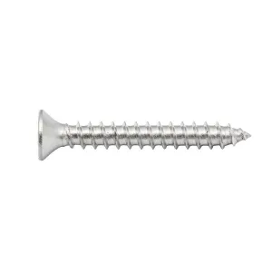 Zenith S/S Screw CSK 8G x 30mm (8pk)